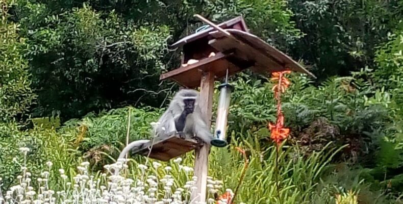 WhatsApp Image 2021-12-05 at 16.47.54