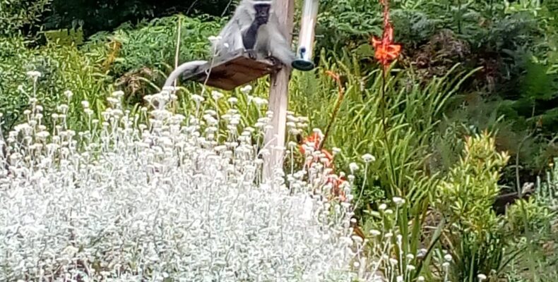 WhatsApp Image 2021-12-05 at 16.49.17